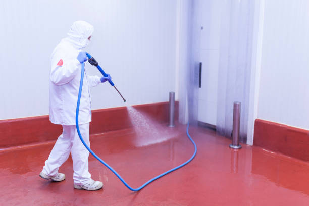 Best Paint Preparation  in , MT